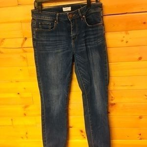 Curvy Skinny Ankle Denim Jean by Ann Talor Loft,  Size 8